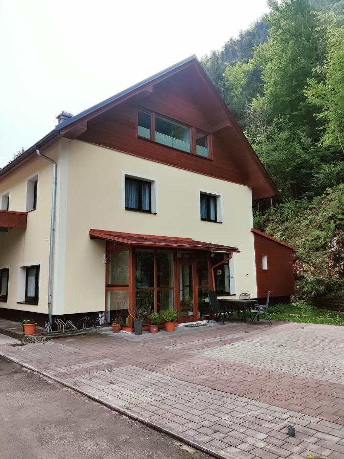 Seeblick Krippenstein Obertraun Luaran gambar