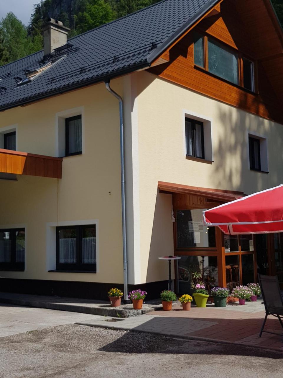 Seeblick Krippenstein Obertraun Luaran gambar